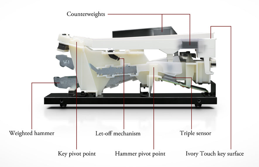 Kawai Responsive hammer action III keyboard action