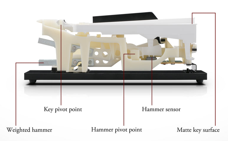 Kawai responsive hammer compact key action